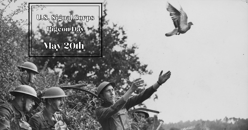 Museum of the American G.I in College Station, Texas - Image of WWI Soldiers releasing Pigeons on Pigeon Day